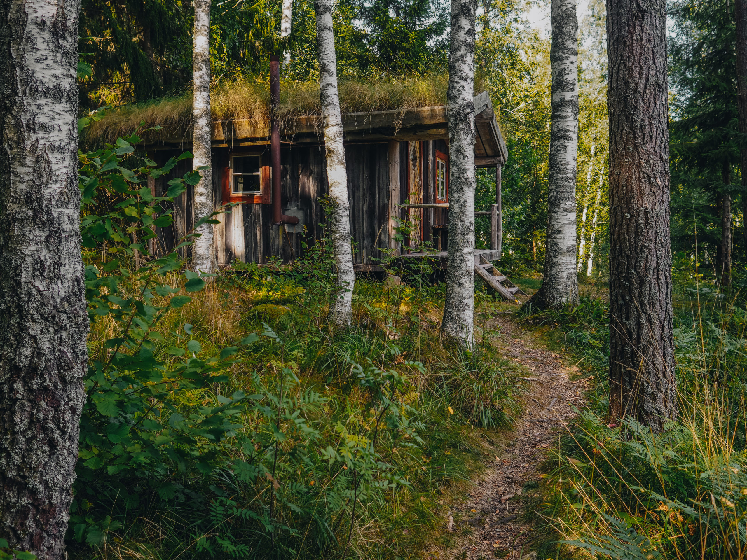 Alle magiske hytter skal i Sverige Copenhagen Wilderness